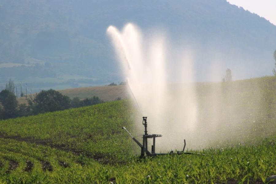 Scandale sanitaire dans les Deux-Sèvres : 50 à 75 % de l'eau potable contaminée par un pesticide