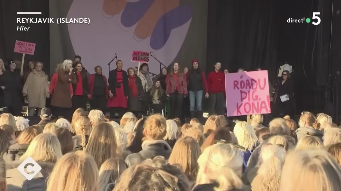 Islande. Grève historique des femmes pour l'égalité salariale et la fin des violences de genre