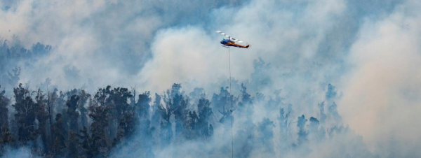 Australie : incendie incontrôlable, plus de 100.000 personnes déplacées ce lundi