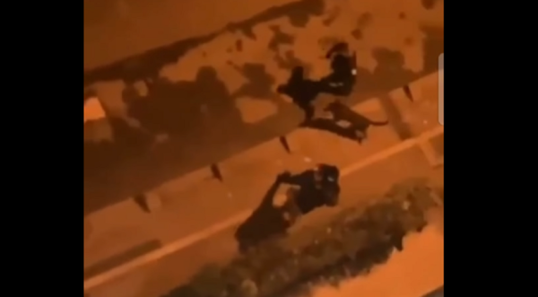 VIDEO. A Saint-Denis, la police municipale frappe et lâche un chien contre un passant