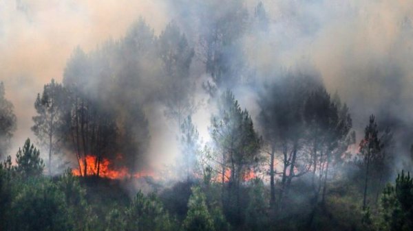 Méga-incendie en Gironde : une nouvelle conséquence dévastatrice de la crise climatique
