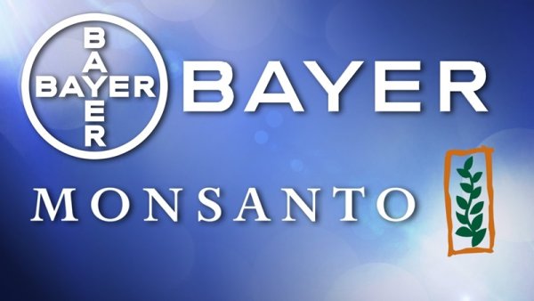 Fusion Bayer-Monsanto : hyper concentration de l'agro-business et mauvaise nouvelle pour notre santé