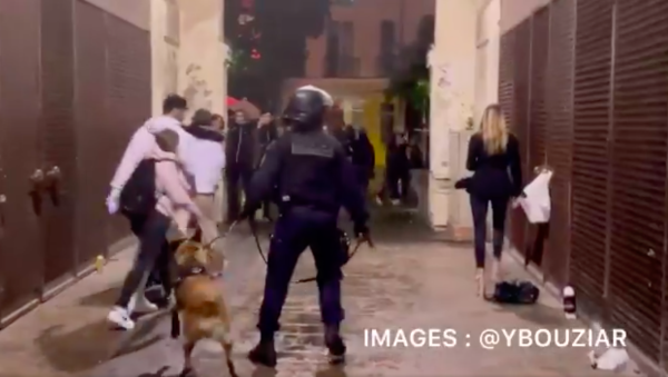 VIDEO. Chien, lacrymos : la police réprime à nouveau des jeunes rassemblés à Versailles