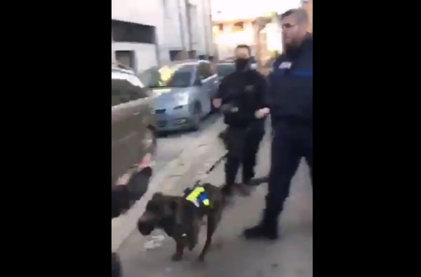  VIDEO. La police lâche un chien sur un jeune à Pierrefitte, la mairie PS-EELV refuse d'ouvrir une enquête