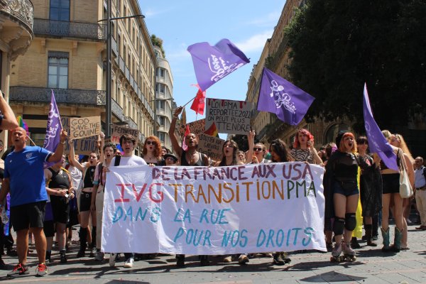 Pride à Toulouse. Pôle anticapitaliste contre le pinkwashing, un acquis pour la suite
