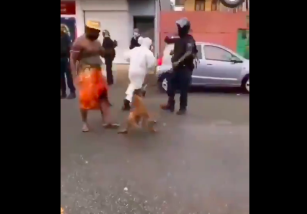 VIDEO. Grenades, bombes lacrymogènes et chien policier lâché contre des carnavaliers en Guyane